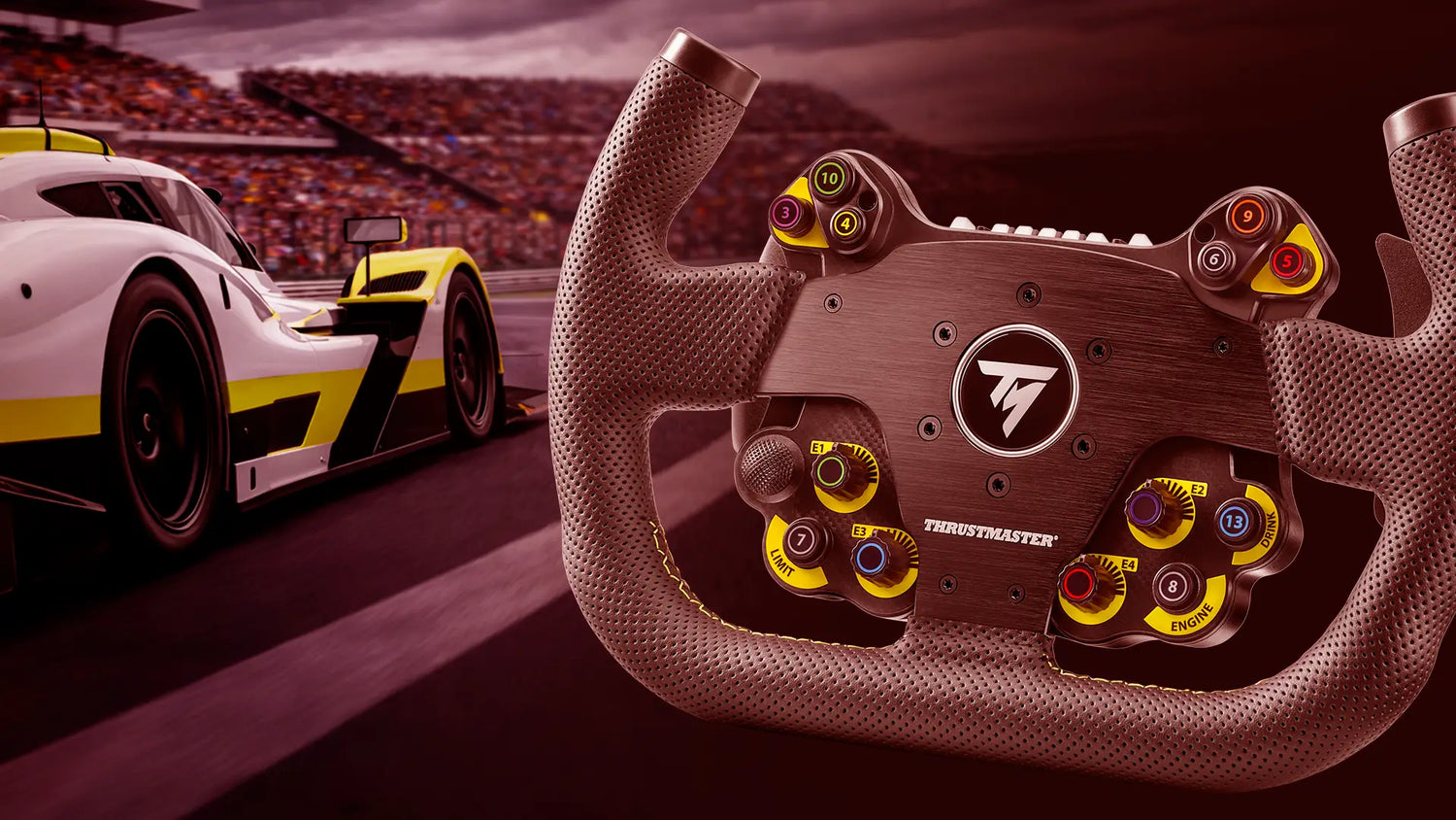 Master the asphalt and set your own rules with the new EVO Racing 31U from Thrustmaster!